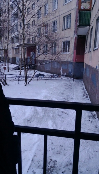 Что ты знаешь о безысходности Накануне рано утром в доме 10к1 на Ленской улице в Санкт-Петербурге полыхала